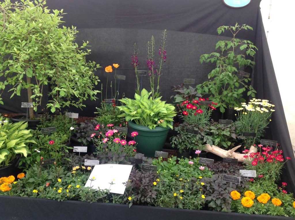 Jack Gott tweet media