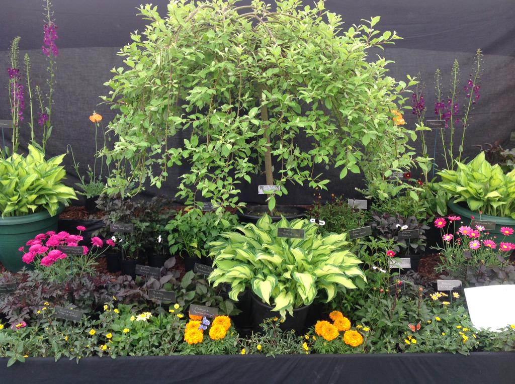 Jack Gott tweet media