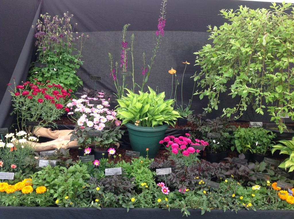 Jack Gott tweet media