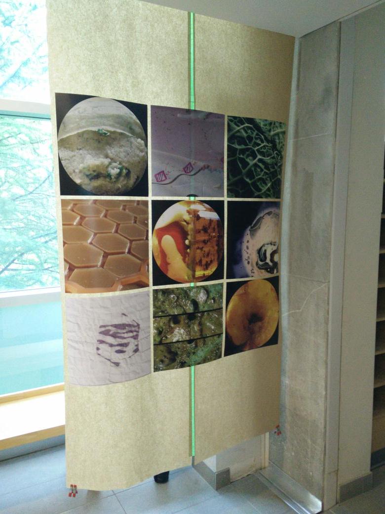 dszanto's tweet photo. It's an @dszanto retrospective at the #CAFS2015 Explor'n Gallery. PhD residues! #egotrip Whaaa? #CUgrad #CongreSSH http://t.co/2cIPjOmnrP
