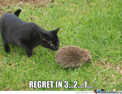 SuperheroSteel's tweet photo. Rise &amp; shine, porcupines! Happy #caturday! http://t.co/mPiCMyP7NA