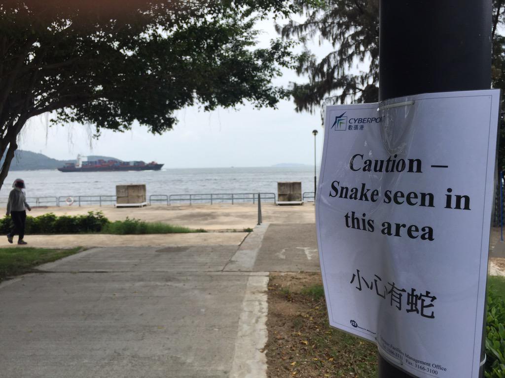 Watch out for snakes when running in Hong Kong <a href="/proofofworkout/">#ProofOfWorkout</a>