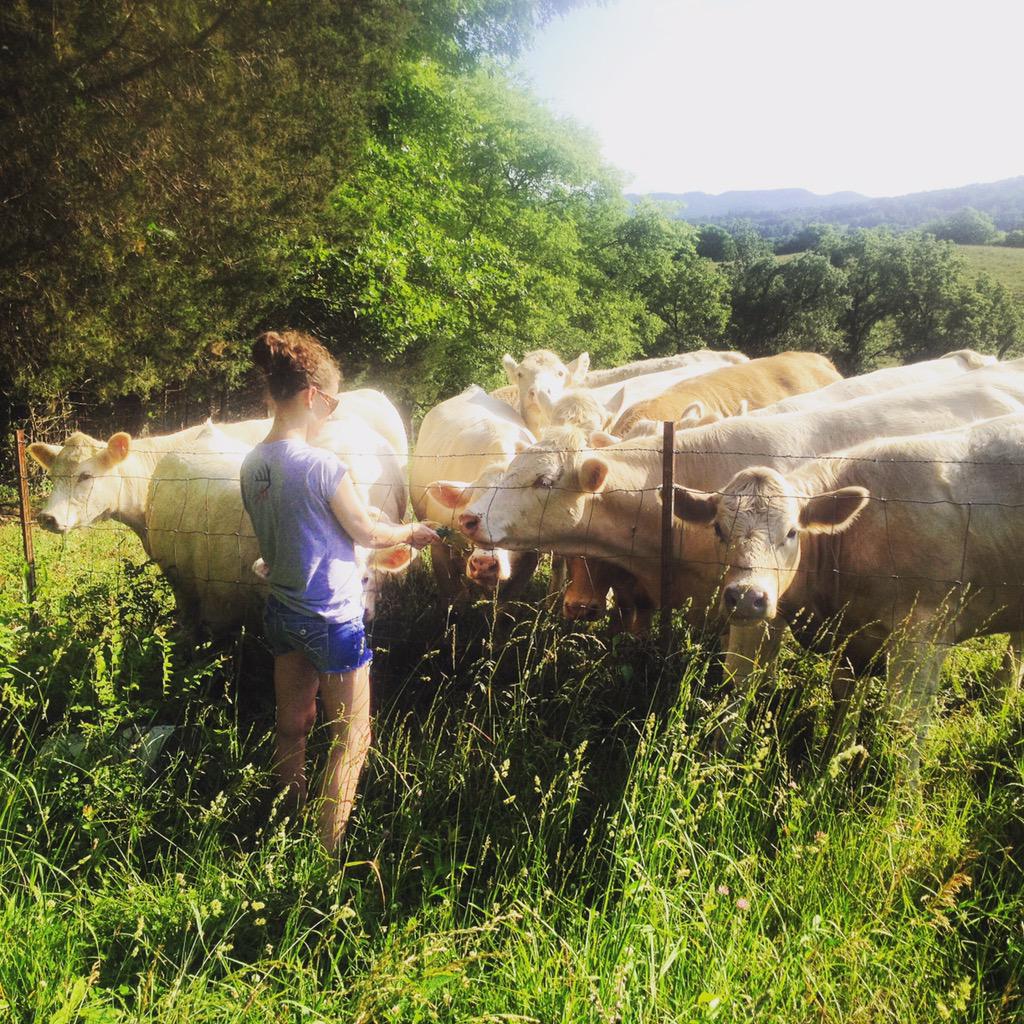 BoroReign's tweet photo. MOO #FarmLife http://t.co/GSADen9oNV