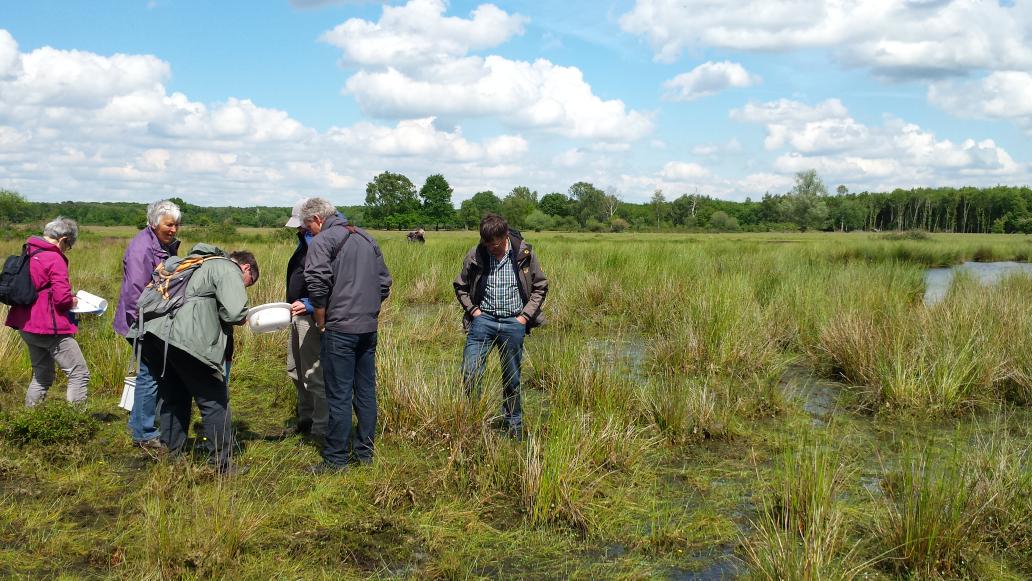 1000 soorten weekend #Maashorst nual een succes vele teams met specialisten kijken wat er leeft indit prachtigegebied