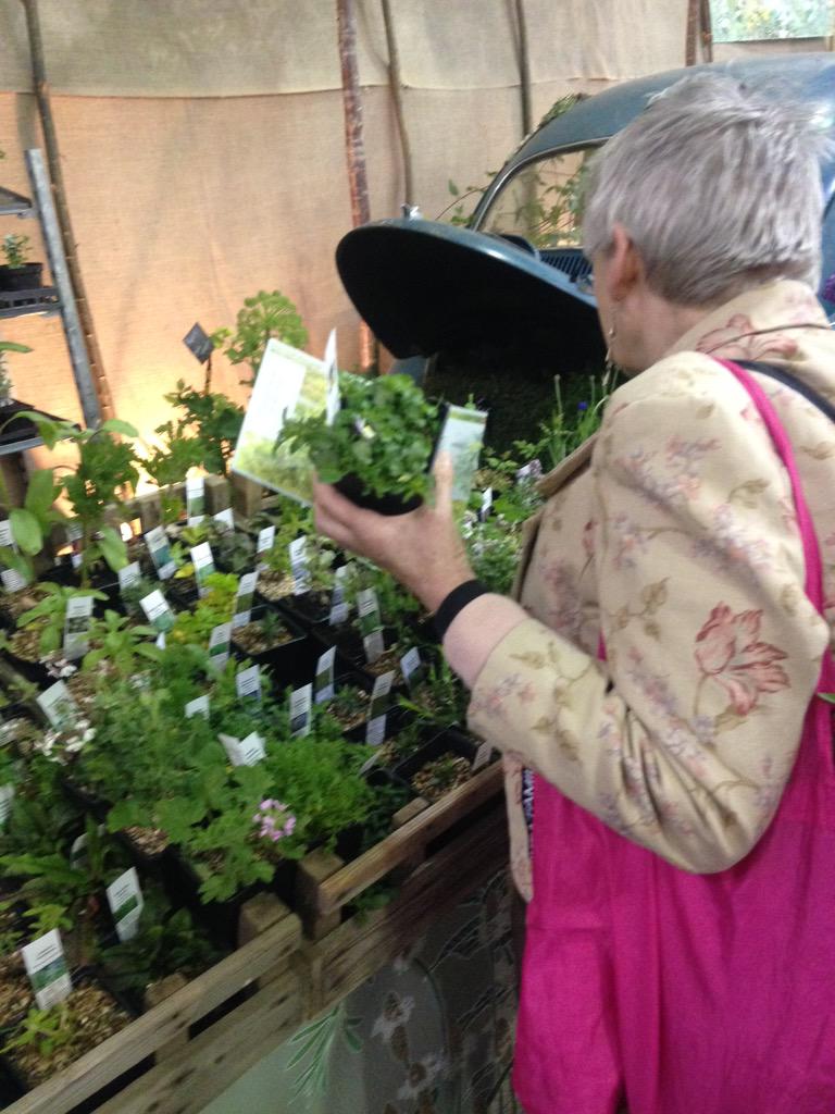 PartickGrowing's tweet photo. Great day out @GardenScotland today! http://t.co/e34ppoQGtT