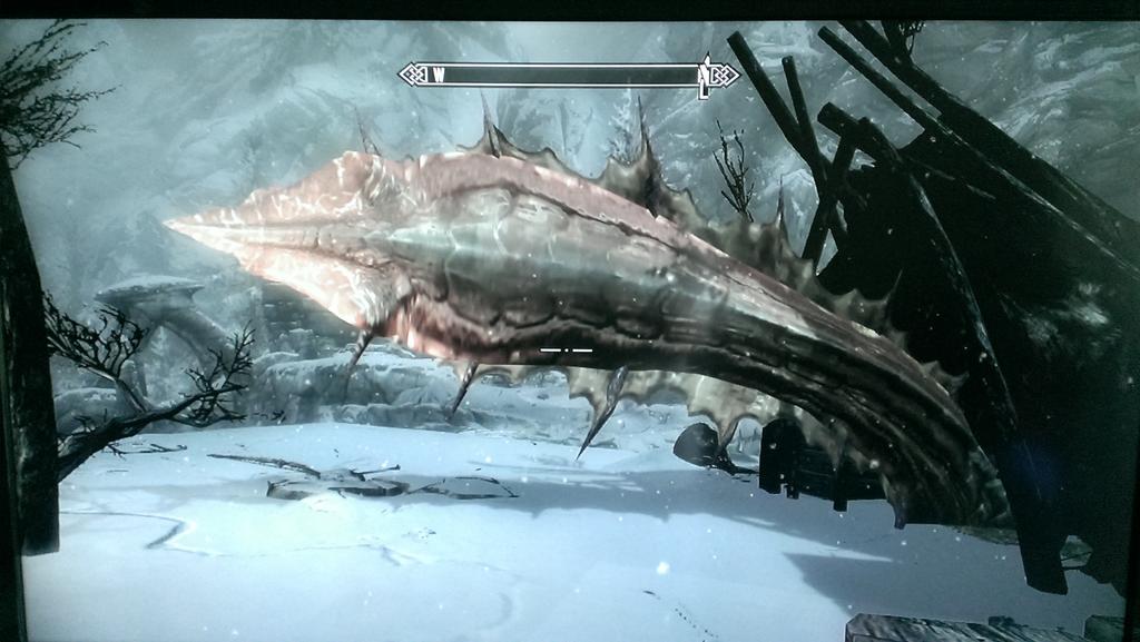 dcmcdonough's tweet photo. I happened upon this Dragon tail, after starting my game. No Dragon was killed here. Thanks, #Skyrim. #skyrimproblems http://t.co/f5KI6Sh52H