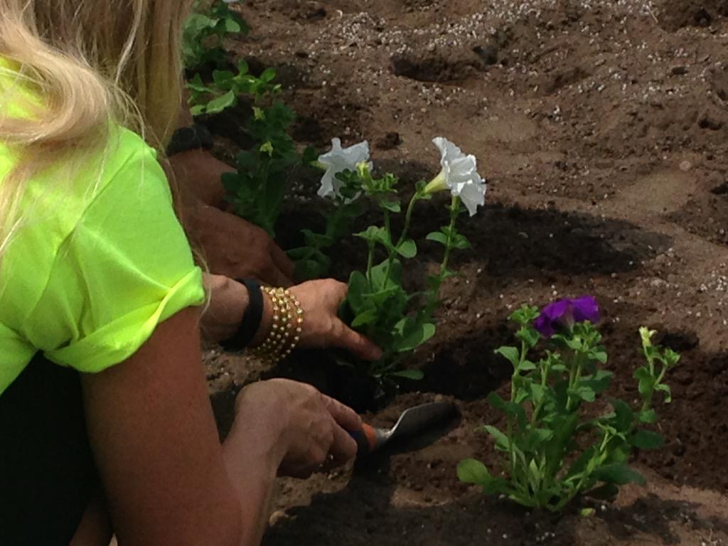 Planting flowers in memory #suicideawareness #suicideacwalk