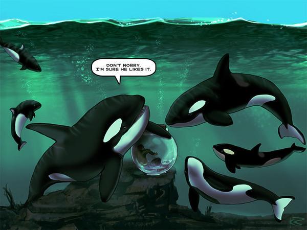 PETAShares's tweet photo. #AdventureStudentTravel (@shesgoingplaces) PROMOTES #SeaWorld!
Sign/RT to ask them to STOP: http://t.co/0H2xJHWctg http://t.co/zyy0Xy3Hcr