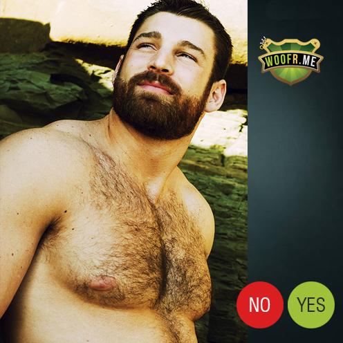 LifeOfTwoBears's tweet photo. YES or NO ? ►► http://t.co/4EENZK08XY ►►►► http://t.co/z5KY1Awu2y