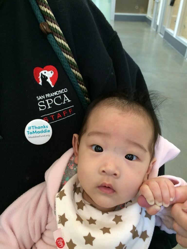 San Francisco SPCA tweet media