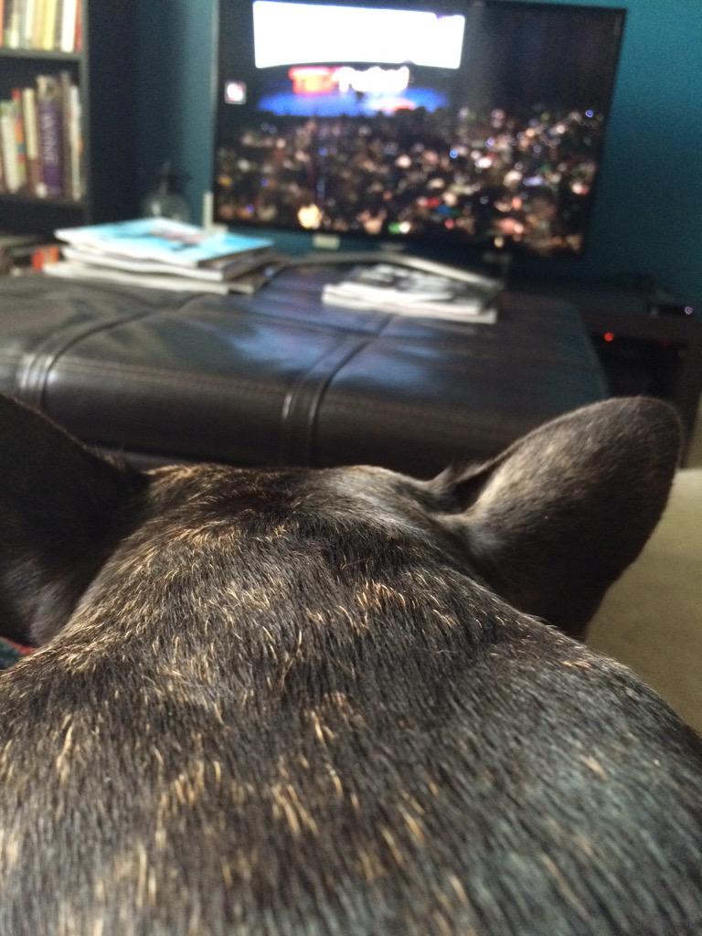 Excited to see <a href="/GG30000/">Gregory Gourdet</a> speak at #TEDxPDX #tedxtomorrows #streamingwithfrenchies