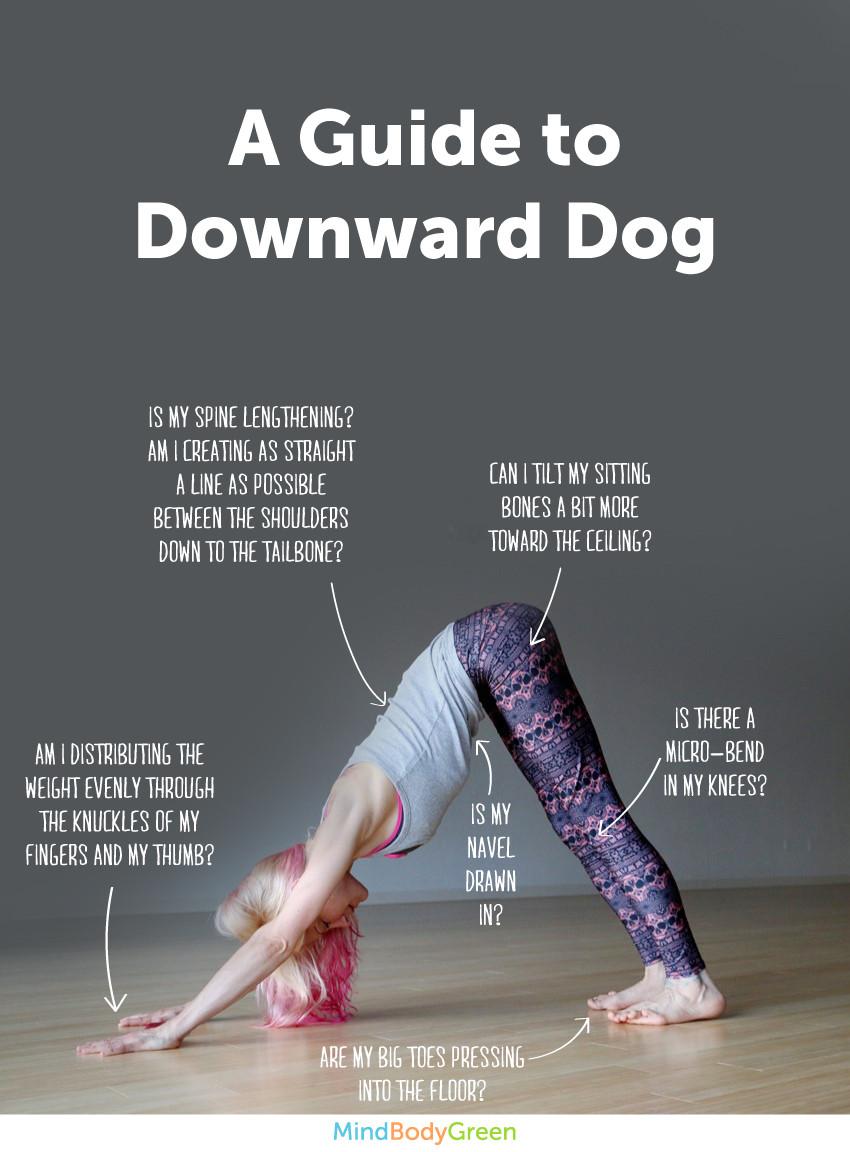 mindbodygreen's tweet image. How To Do Downward Dog (Cute Infographic!) by @quietearthyoga mbg.to/zSXYQmt