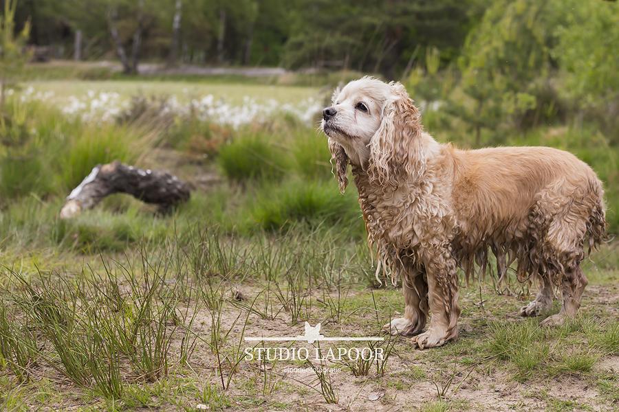 Misia &amp; Daisy zijn totaal verschillend, maar samen kunnen ze het bijzonder goed vinden. Oposites attract! #eindhoven