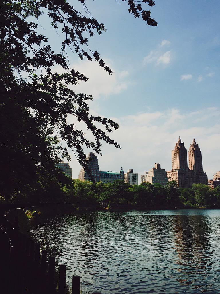 connorfranta's tweet image. went for a run in Central Park this afternoon!