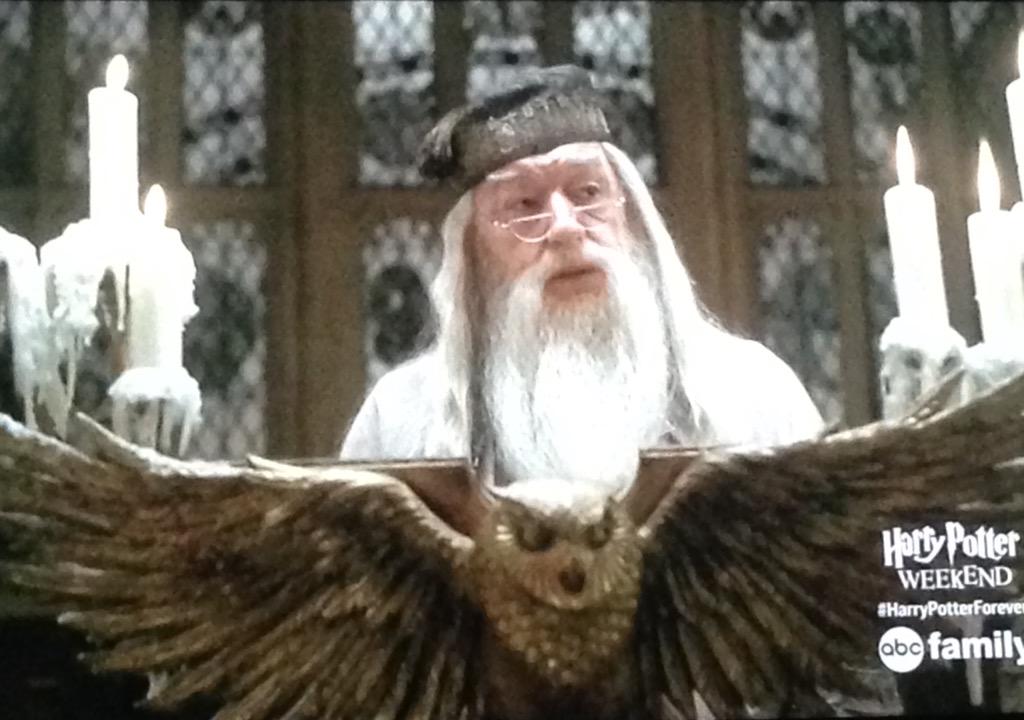 _tylerwall's tweet photo. #dumbledoreforever #HarryPotterForever http://t.co/NvuZbq7PG8