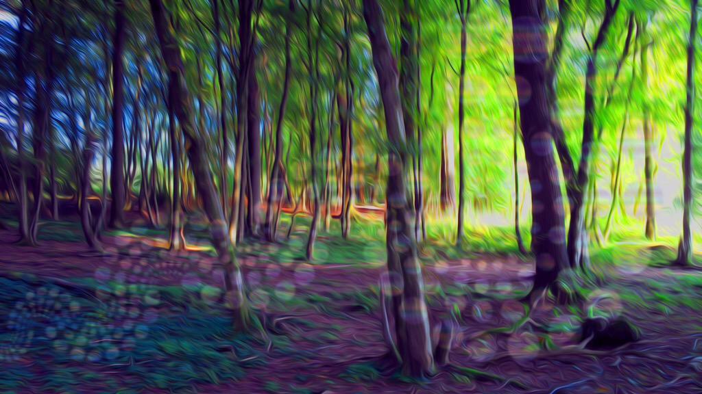 AstralLivin's tweet photo. Let's let the Psychedelics take us to another dimension of a sensual reality. 🌀🍄🌀🍄 http://t.co/qplg8GolZo