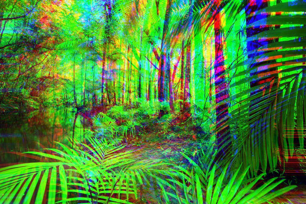 AstralLivin's tweet photo. Let's let the Psychedelics take us to another dimension of a sensual reality. 🌀🍄🌀🍄 http://t.co/qplg8GolZo