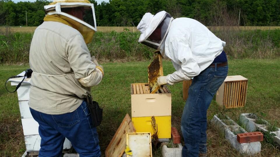 Visited Bemis Honey Bee Farm and their happy bees! #beekeeping