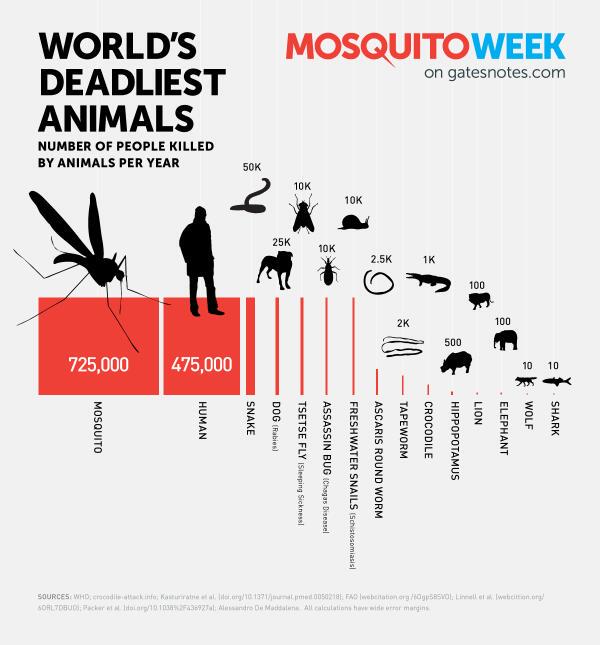 People killed annually by Sharks 10 Elephants 100 Snails 10,000 Snakes 50,000 People 475,000 Mosquitoes 725,000
