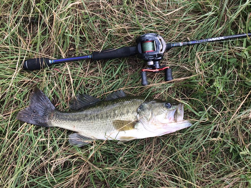TXBassLife tweet picture