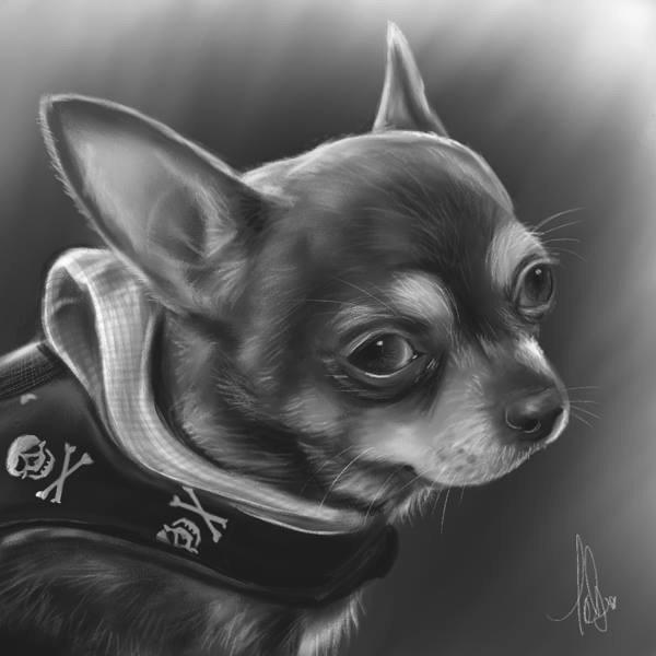 MakingMyths's tweet image. Trying out #corelpainter here's a quick portrait of my #chihuahua Crixus #digitalart #digitalpainting #illustration