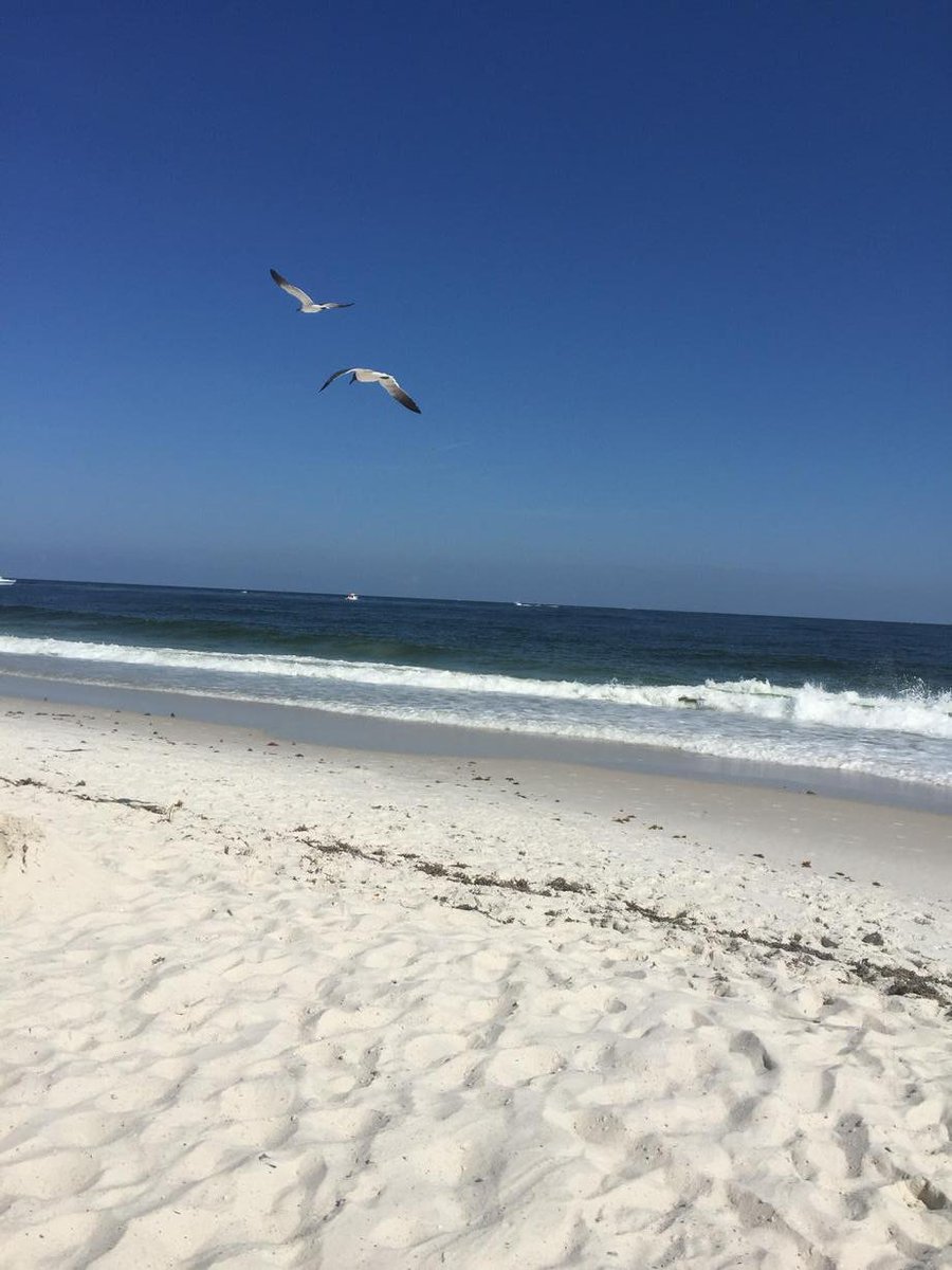 SeanW_247Sports's tweet image. - @JAngel_Rivals keeping the @VandySportscom recruiting on lock while I'm trapped here #WhoaIsMe