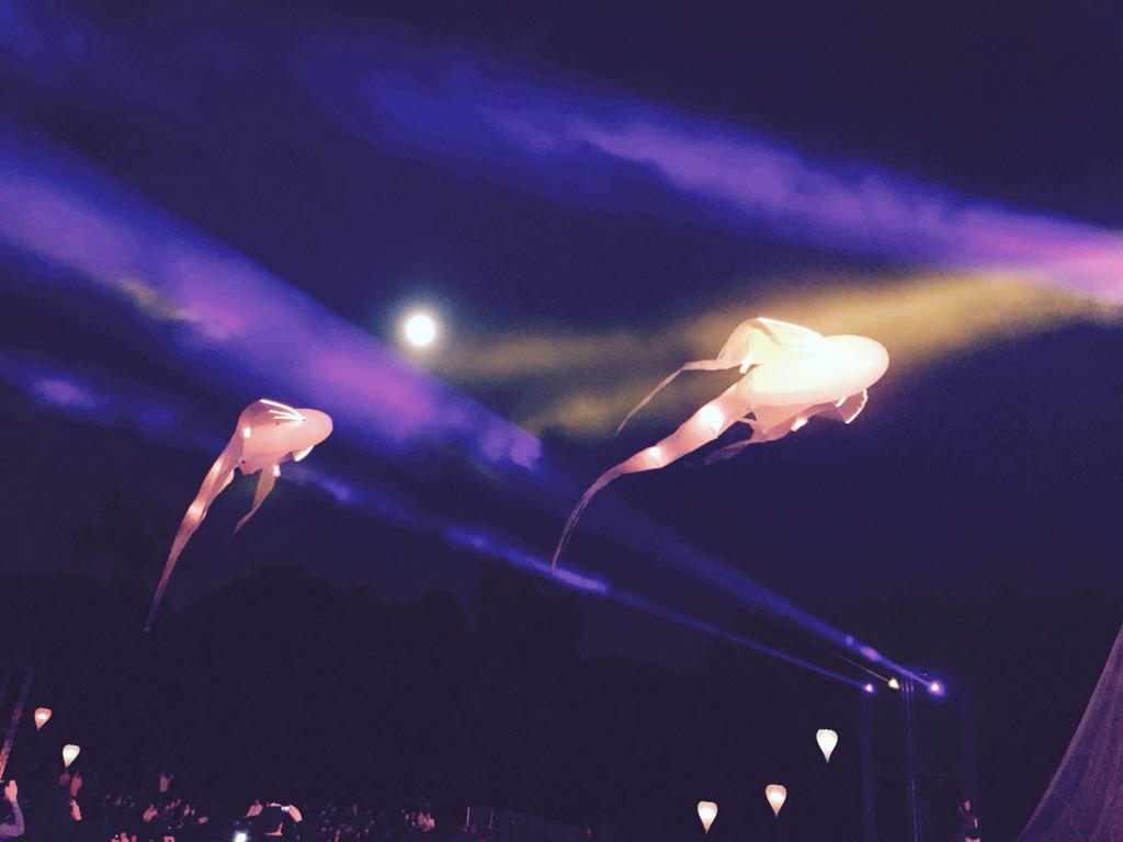 CNEWSLesOFF's tweet image. .@itele partenaire du @Pyroconcert hommage aux Pink Floyd en direct du Domaine national de St Cloud