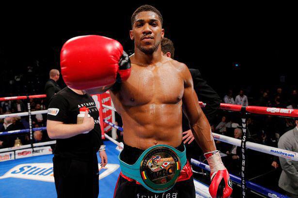 CauseWereGuys's tweet photo. Anthony Joshua:

Fights: 13
Wins: 13
Knockouts: 13

No opponent has made it past Round 3. 

...Bruh http://t.co/pKHcboB7Mk