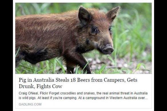 LifeAsParty's tweet photo. I've found my spirit animal http://t.co/YOJvFWOvFL
