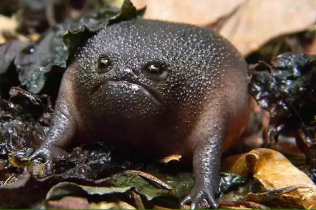 ergamarr's tweet photo. Current mood http://t.co/ZtMIQv7gKx