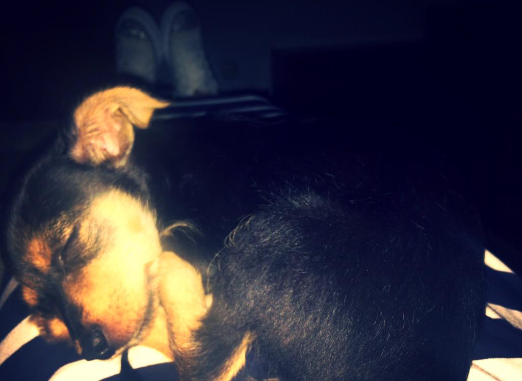 Rocioo895's tweet photo. Mi felicidad ❤️ http://t.co/NirbPvMFMG