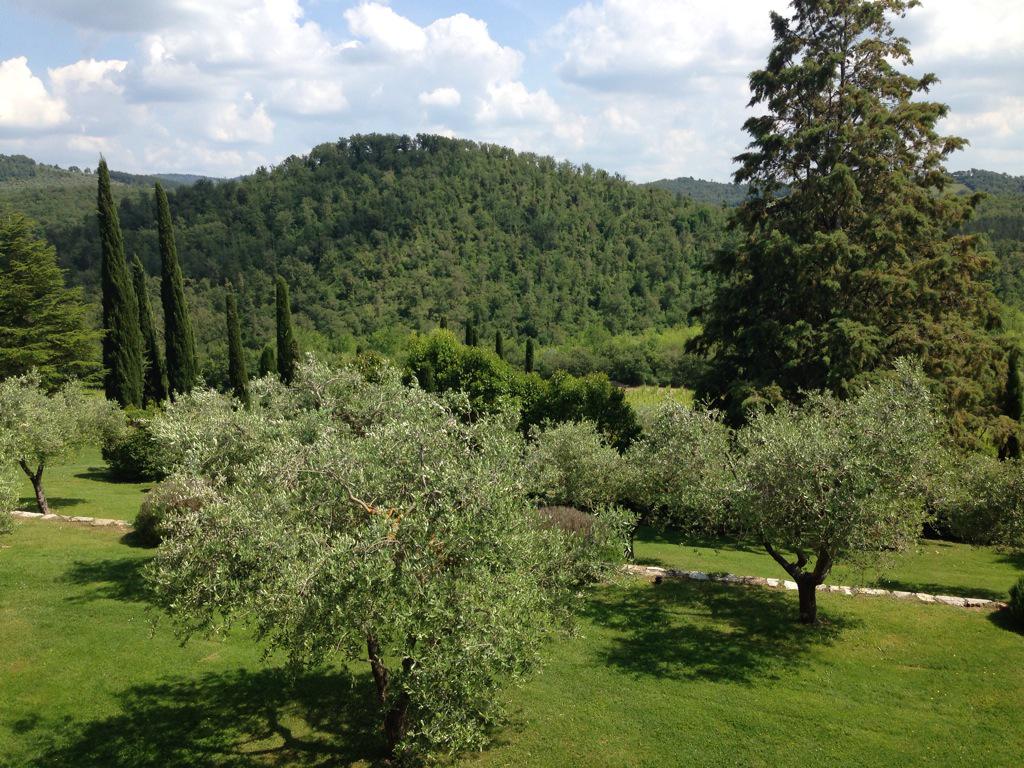 FracGL's tweet image. Tuscany celebrations