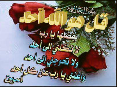 iraqya99's tweet photo. http://t.co/fyVwrKTqrI