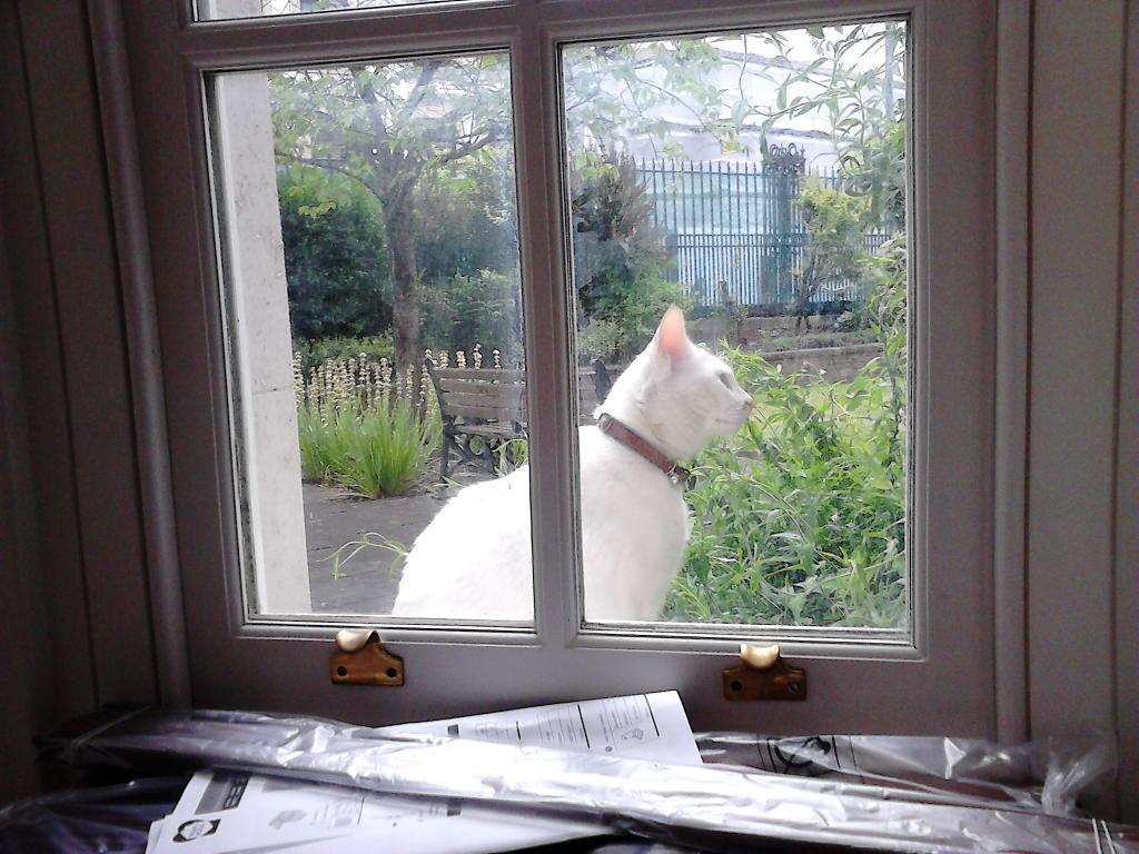 HiscottJohn's tweet photo. Princess on the hunt :-) http://t.co/UpUlRWYE2T