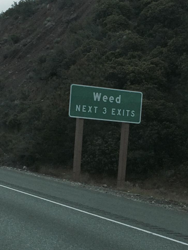BryanGilles's tweet photo. @robdelaney  The drug problem is getting out of hand in California! #HellNo420 #marywannasequalsdeath http://t.co/Uz9zJqUbWN