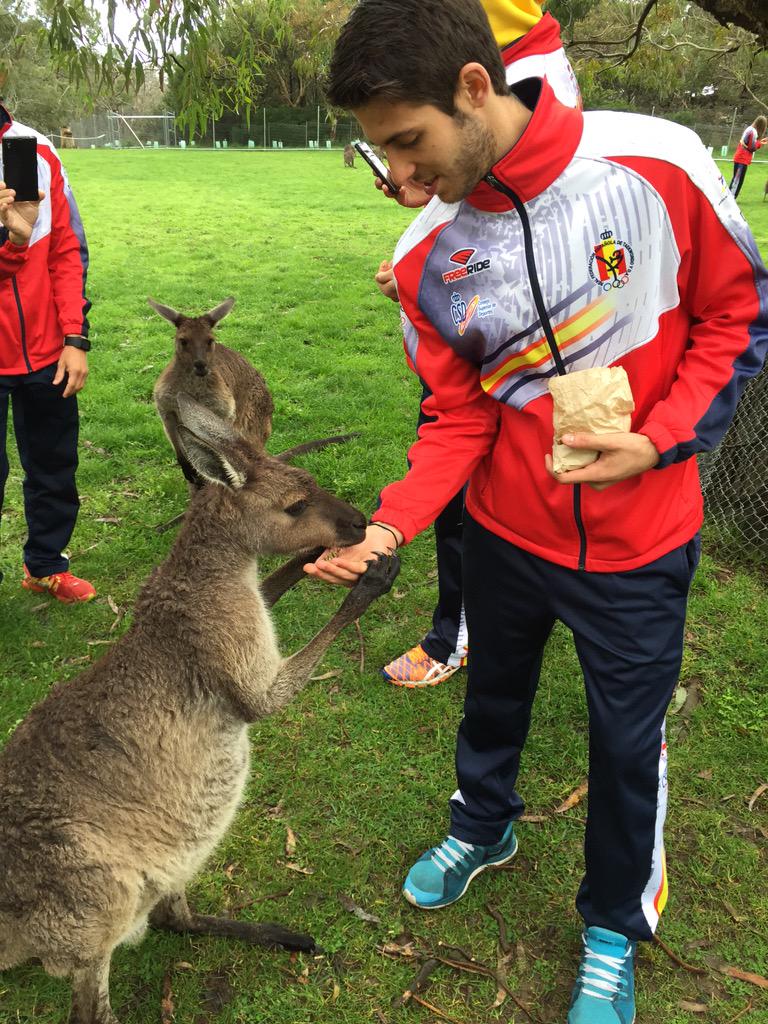 Dando de comer a los canguros antes de marchar👍🏻 #megustaelfutbol #LaLigaWorld
