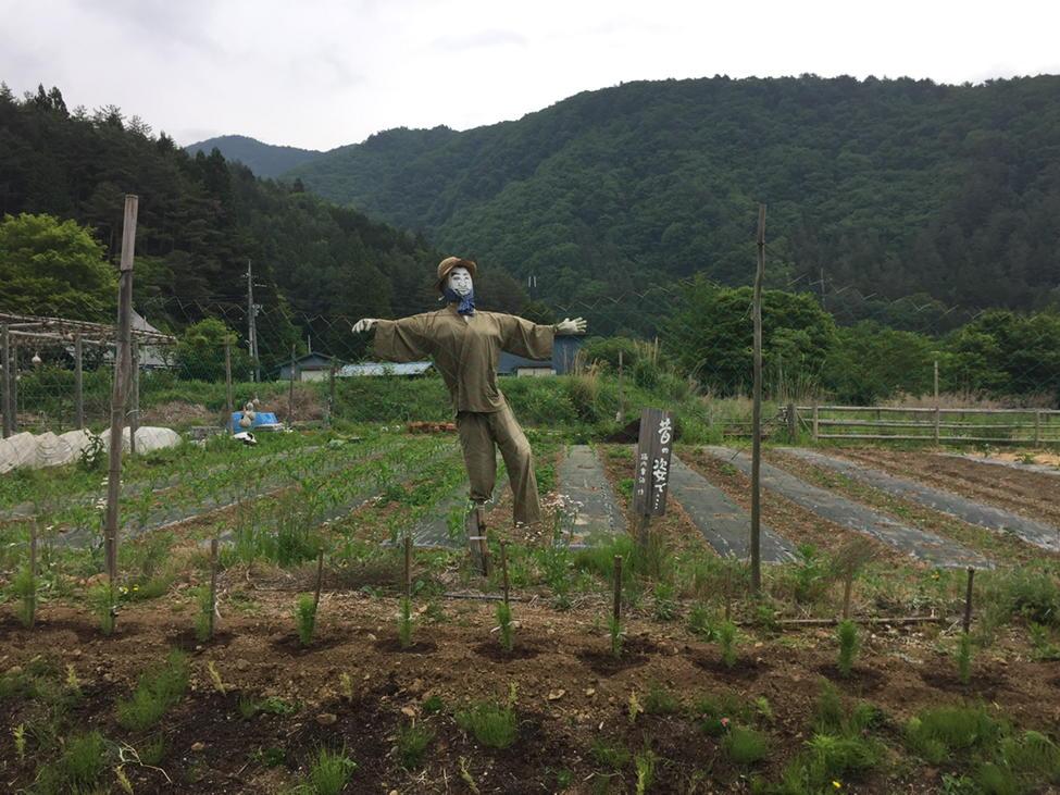 IntrovertNathan's tweet image. Jolly/creepy scarecrow I found yesterday in the Japanese countryside.