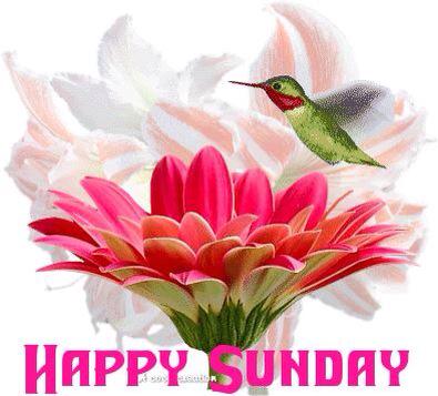 JutaneeW tweet picture