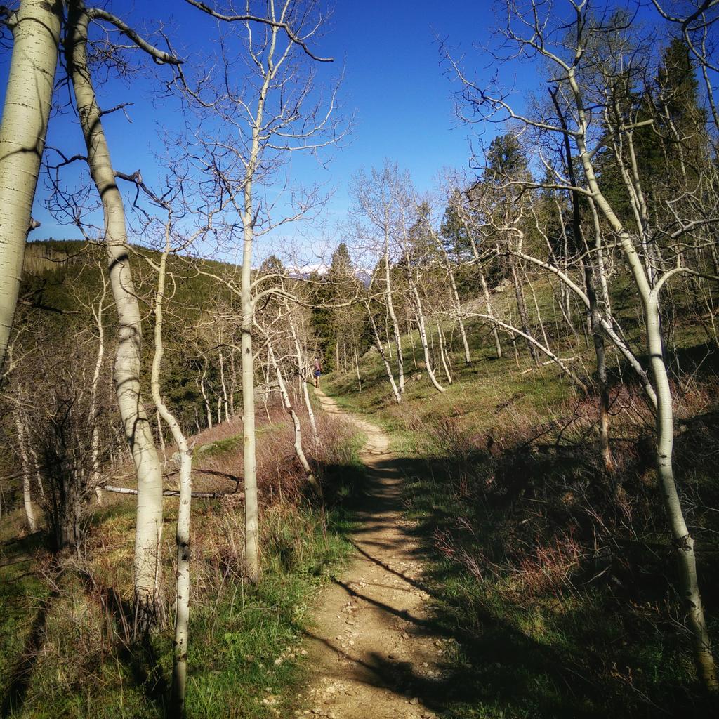 TriMilan's tweet photo. It was a beautiful day for Dirty 30. So good to see everyone! #RoostRaceTeam #roostmutteam #RoostTriTeam http://t.co/QhwpTFM9Nd