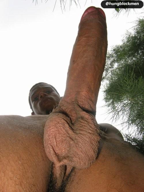 HungBlackMen's tweet photo. http://t.co/SjJmkXEoQI