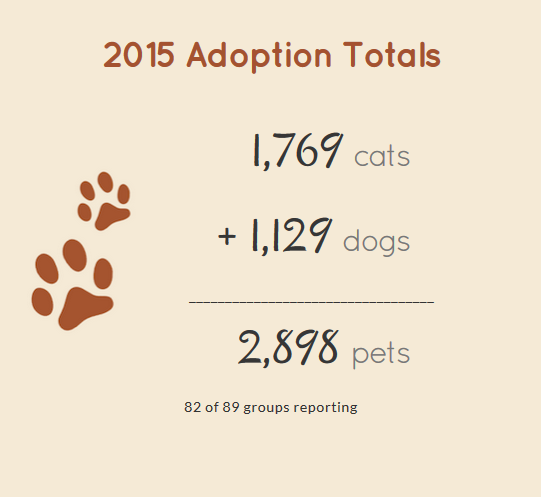 MaddiesFund's tweet photo. 2,898 adoptions today AND STILL COUNTING! And it's all #ThanksToMaddie -- and all of YOU! We love you! http://t.co/eWjfDwnZlV