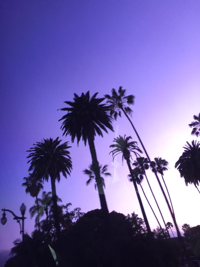 troyesivan's tweet image. Omg no filter my uber driver just has dope tints on his windows !!