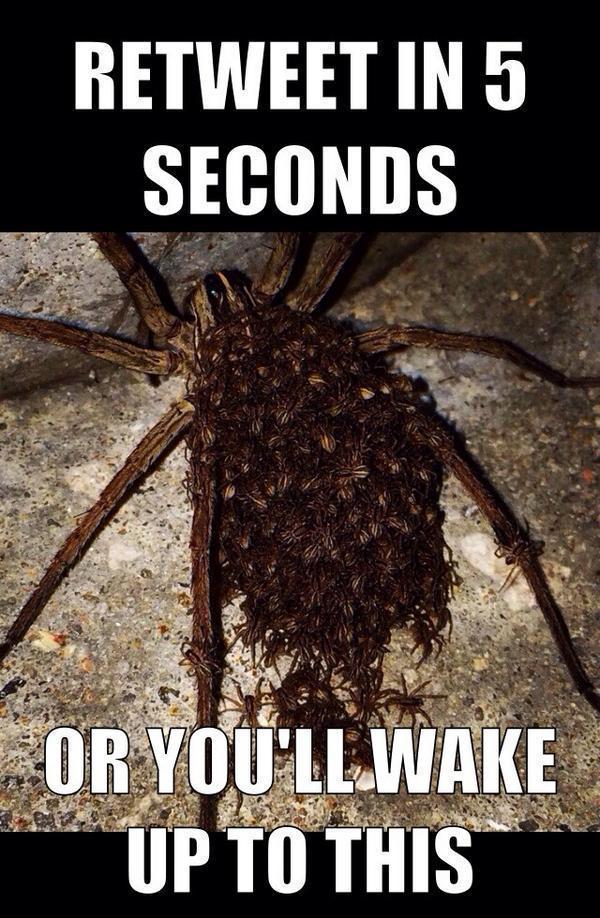 TvlertheCreator's tweet photo. It's just too damn risky http://t.co/j2r3bZXYlA