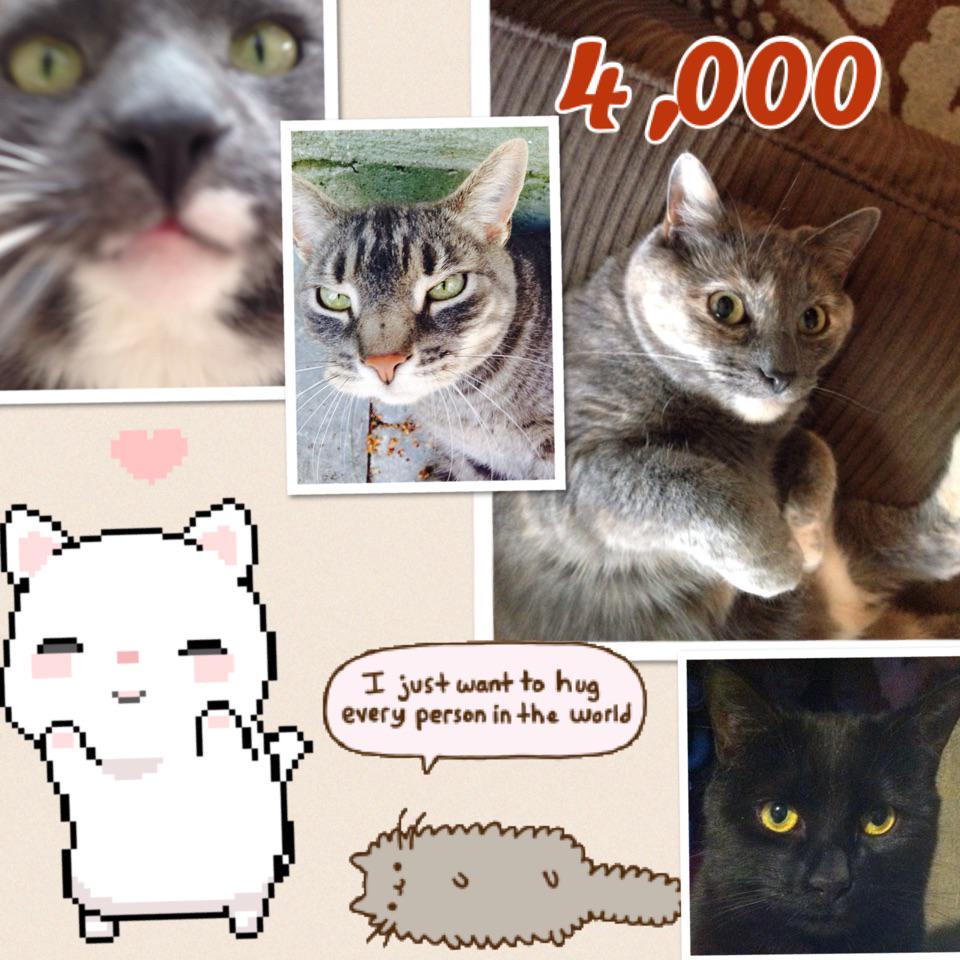 Carson_gaming's tweet image. 4,000 pic-collage.com/_qI01ILBp