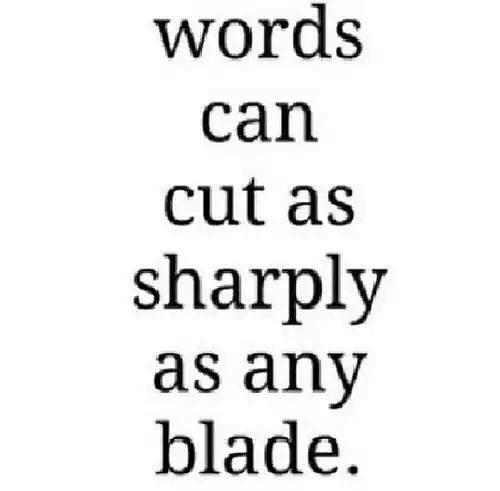 shellstroebes's tweet image. 