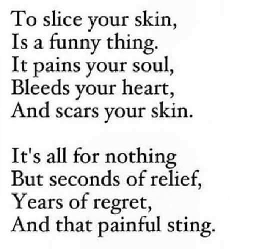 shellstroebes's tweet image. 