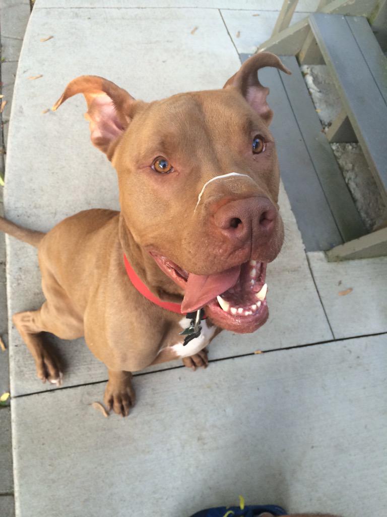 Scooby "slobber face" Elsner