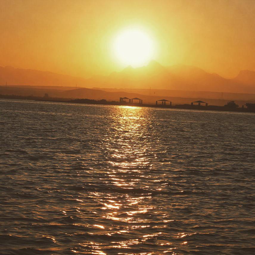 Features79 tweet picture