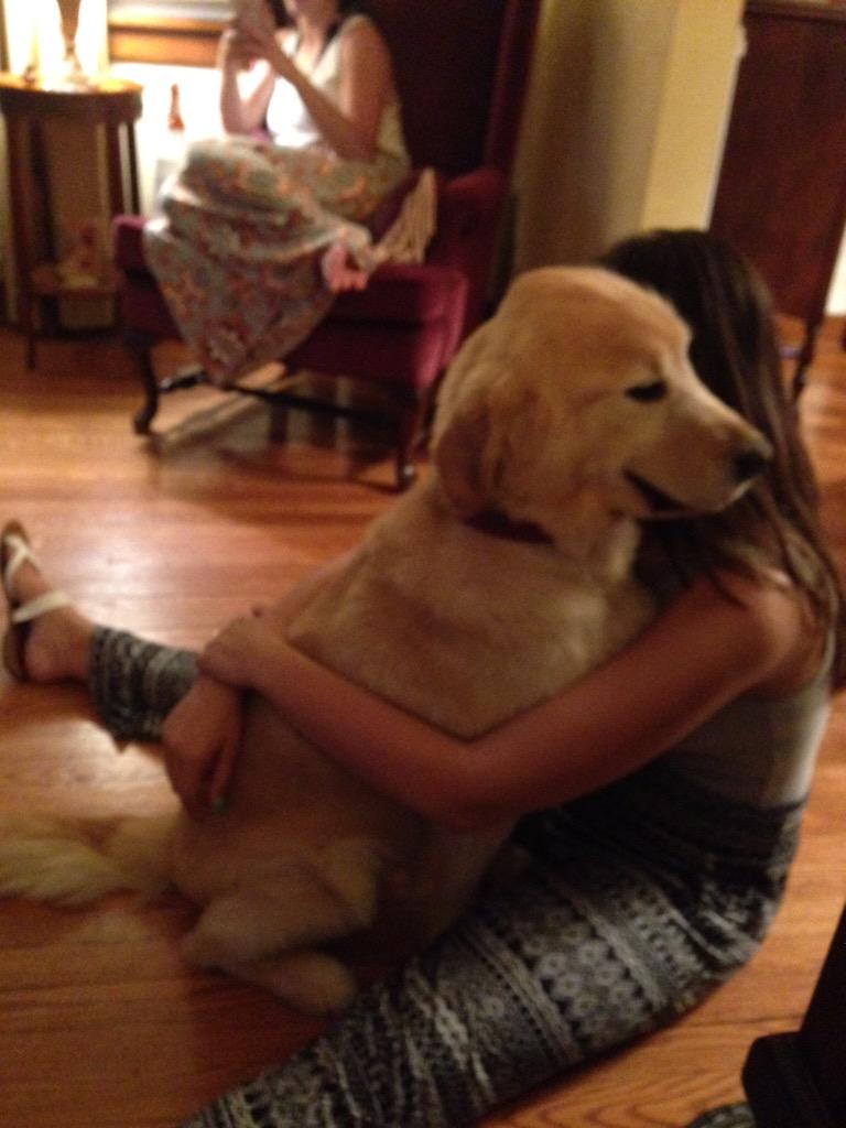 janinehalsey's tweet photo. Sitting in a cab ride from hell wishing I was back in this situation. #operationDOG http://t.co/ESFH5C3mEe