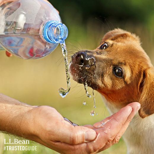 LLBean's tweet image. A portable water bowl is essential when you’re hiking with your dog. Shop now: bit.ly/1KFk4k3 #trustedguide